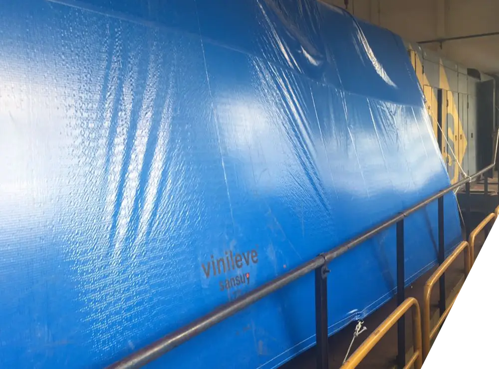 Vinileve
